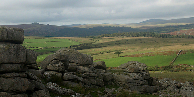WAR HORSE - Dartmoor